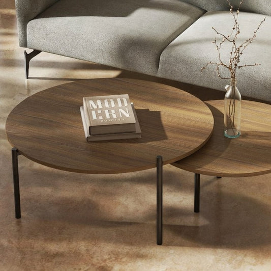 Celias Rustic Nesting Ash Center Table Set
