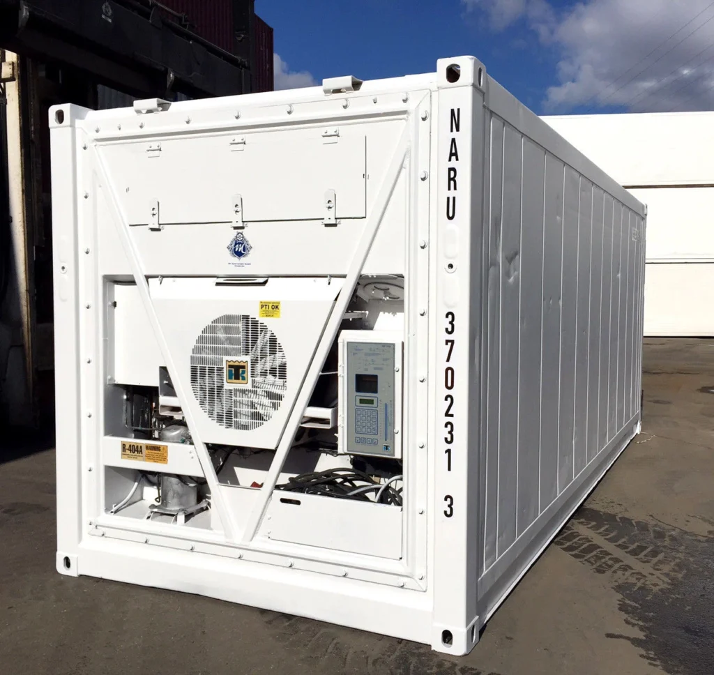 20 Feet Freezer Container Compact Mobile Cold Storage Cell Thermo King / Reefer